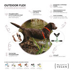Führgeschirr - Outdoor FLEX - 5-fach verstellbar mit Haltegriff - Lemon/Seagrass – Bild 6