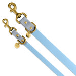 Outdoor Dog Leash, Blue, Both Sizes