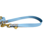 Outdoor Dog Leash, Blue, Close By