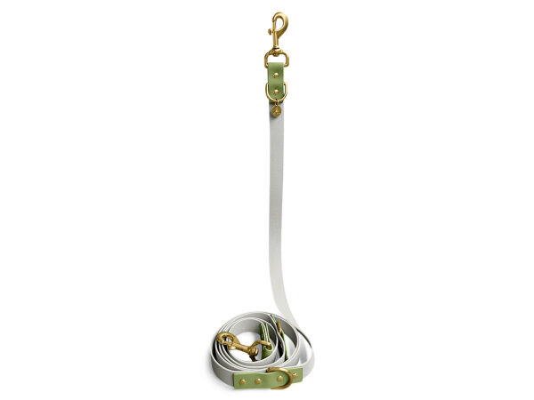 Outdoor dog leash gray/green