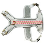 Tres Chic Geschirr in pink/beige von hinten liegend