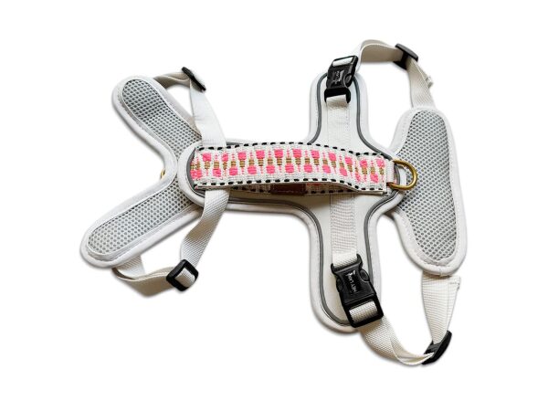 Tres Chic Geschirr in pink/beige von vorne liegend