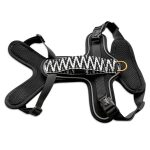 Tres Chic Geschirr liegend von vorne