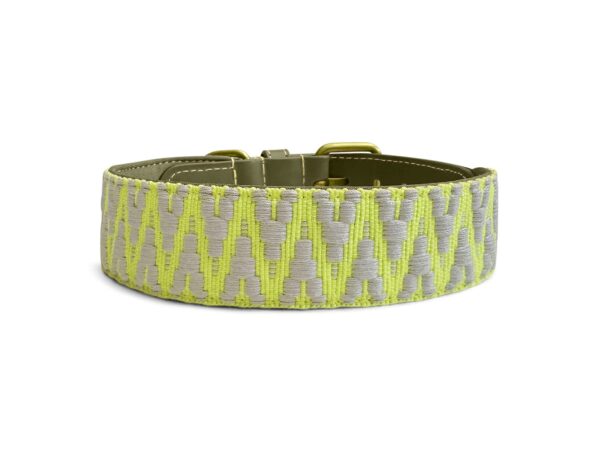 Premium Halsband Olivgruen hinten