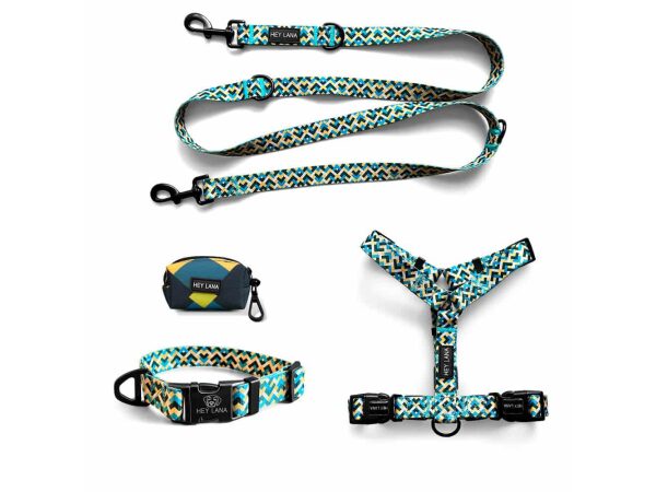 Kunterbunt collection as a dog collar, lead, harness and poop bag dispenser set in yellow/blue