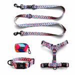 Kollektion Kunterbunt als Set Hundehalsband, Leine, Geschirr und Kotbeutelspender in Pink/Türkis
