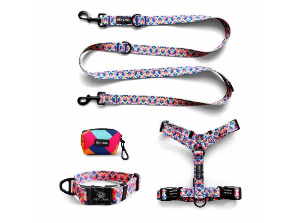 Kunterbunt collection as a set of dog collar, lead, harness and poop bag dispenser in pink/turquoise