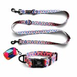 Kollektion Kunterbunt als Set Hundehalsband, Leine und Kotbeutelspender in Pink/Türkis