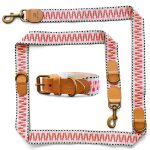 Très chic collection as a dog collar and lead set in pink/beige