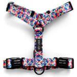 Kunterbunt Geschirr in Pink/Türkis