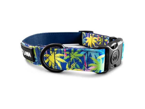 Hundehalsband Palm Beach Gepolstert mit Sicherheitsverschluss
