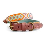 Premium Hundehalsband Gepolstert in Mint/Orange