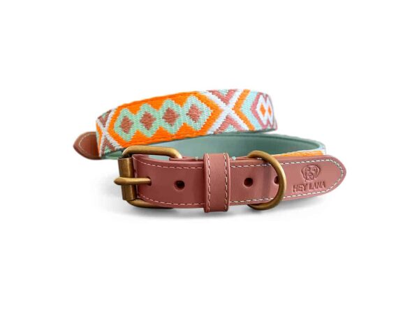Premium Hundehalsband Gepolstert in Mint/Orange
