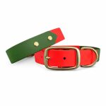 Outdoor Kollektion - Set Hundehalsband und Leine - Neon-Orange/Grün – Bild 2