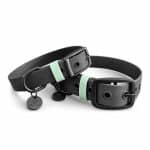 Hundehalsbänder Biothane Outdoor SPORT ist Wasserfest in Schwarz/Mint