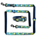 Kollektion Palm Beach als Set Hundehalsband und Leine