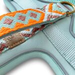 Premium Hundegeschirr Gepolstert Tres Chic in Mint/Orange Detail