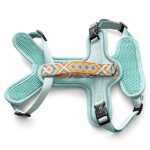 Premium Hundegeschirr Gepolstert Tres Chic in Mint/Orange hinten