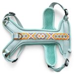 Premium Hundegeschirr Gepolstert Tres Chic in Mint/Orange vorne