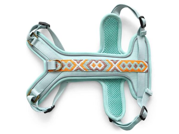 Premium Hundegeschirr Gepolstert Tres Chic in Mint/Orange vorne