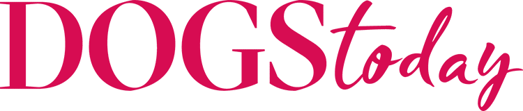 dogstoday Logo