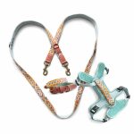 Kollektion Très chic als Set Hundehalsband, Leine und Geschirr in Mint/Orange