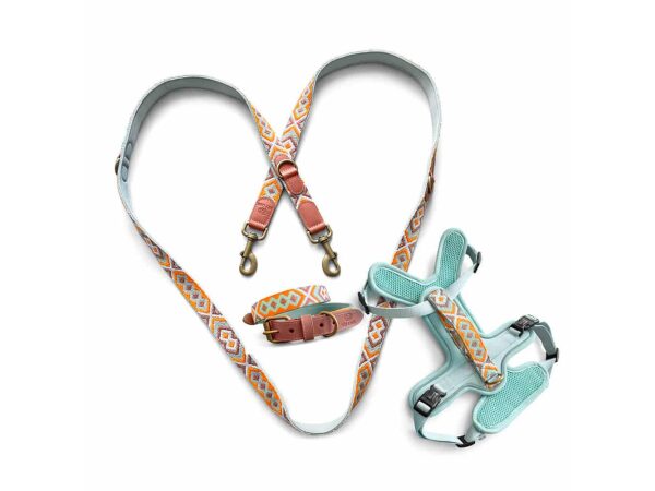 Kollektion Très chic als Set Hundehalsband, Leine und Geschirr in Mint/Orange