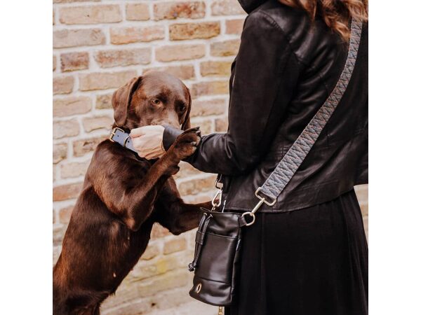 Dog with treat bag and interchangeable strap in blue/grey