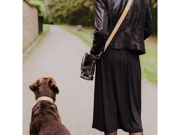 Hund mit Leckerlitasche und Wechselgurt in mint orange