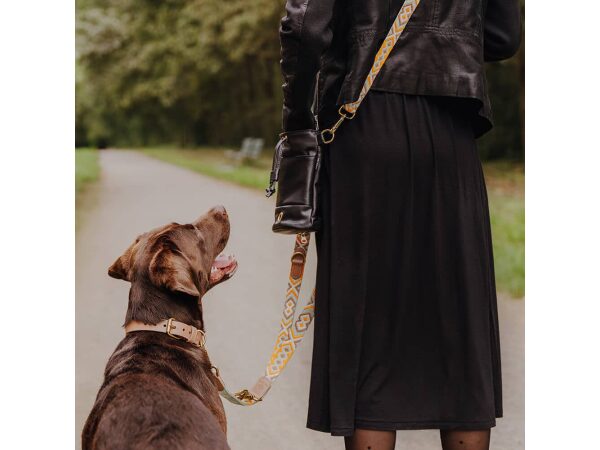 Dog with treat bag and interchangeable strap in mint/orange