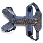 Premium Hundegeschirr Gepolstert Tres Chic in Blau/Grau hinten