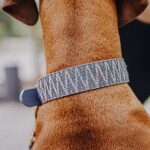 Close-up collar premium gray-blue