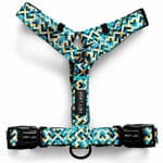 Kunterbunt Geschirr in Gelb/Blau