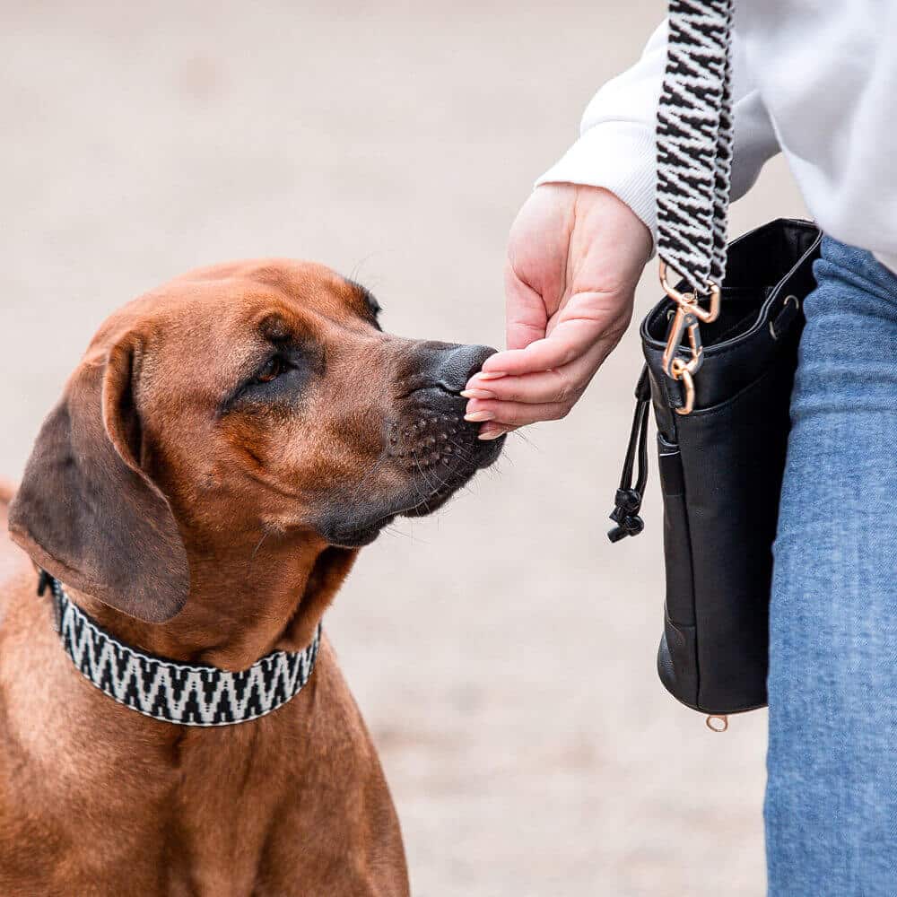 Premium dog treat bag with interchangeable strap Tres Chic in black/white Premium dog treat bag with interchangeable strap Tres Chic in black/white