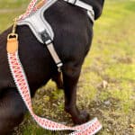 Hund mit kurzer Hundeleine Tres Chic 1,20m in Pink/Beige