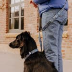 Hunde Führleine Kunterbunt ist 3-fach verstellbar in Moccha/Blau