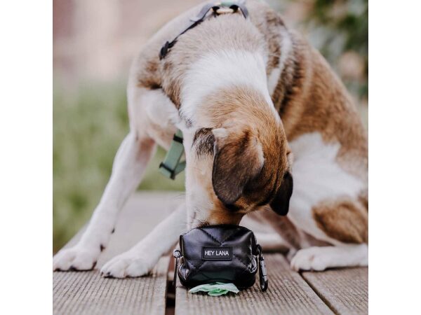 Hund mit Kotbeutelspender – Heißer Scheiß in Schwarz