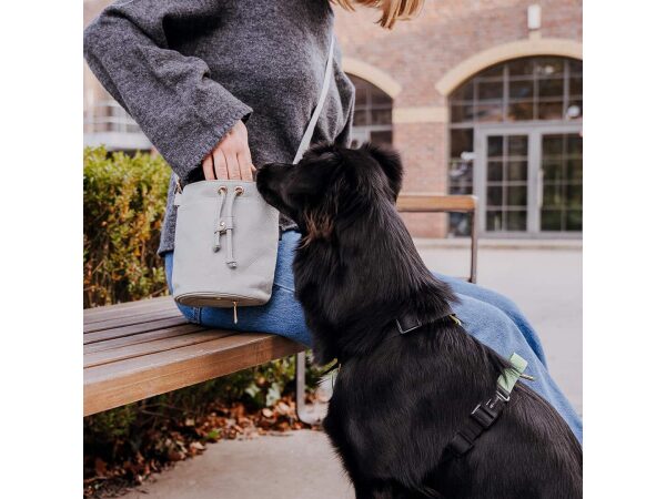 Dogs with premium treat bag - All in One in gray