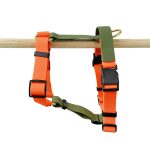 Outdoor harness in neon orange/green lying down