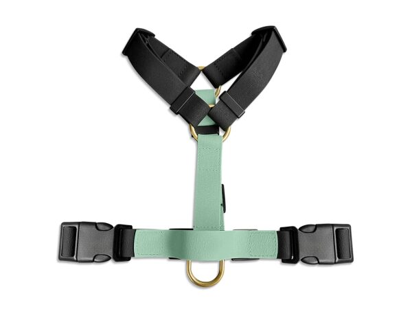 Outdoor Führgeschirr in Schwarz/Mint liegend