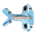 Premium Hundegeschirr Gepolstert - Coral/Blau – Bild 2