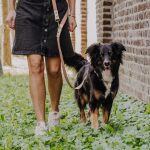 Outdoor FLEX lead - 3-way adjustable - mocha/mousse