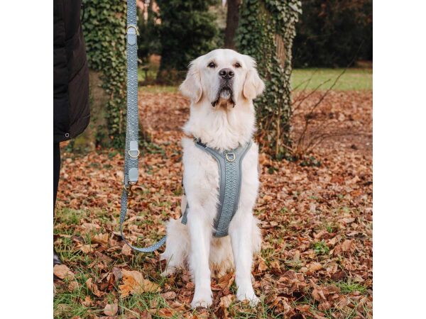 Hey Lana Premium Hundegeschirr, Leine Gepolstert - Anthrazit/Eisblau