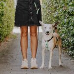 Outdoor FLEX lead - 3-way adjustable - black/mint - Image 7