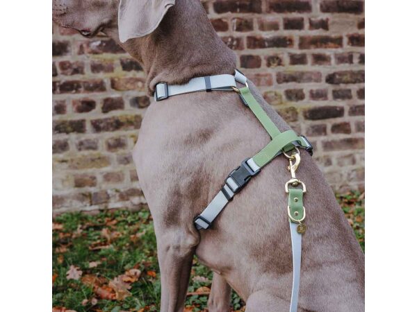 Führleine Outdoor FLEX, Geschirr – Grau/Grün Detail