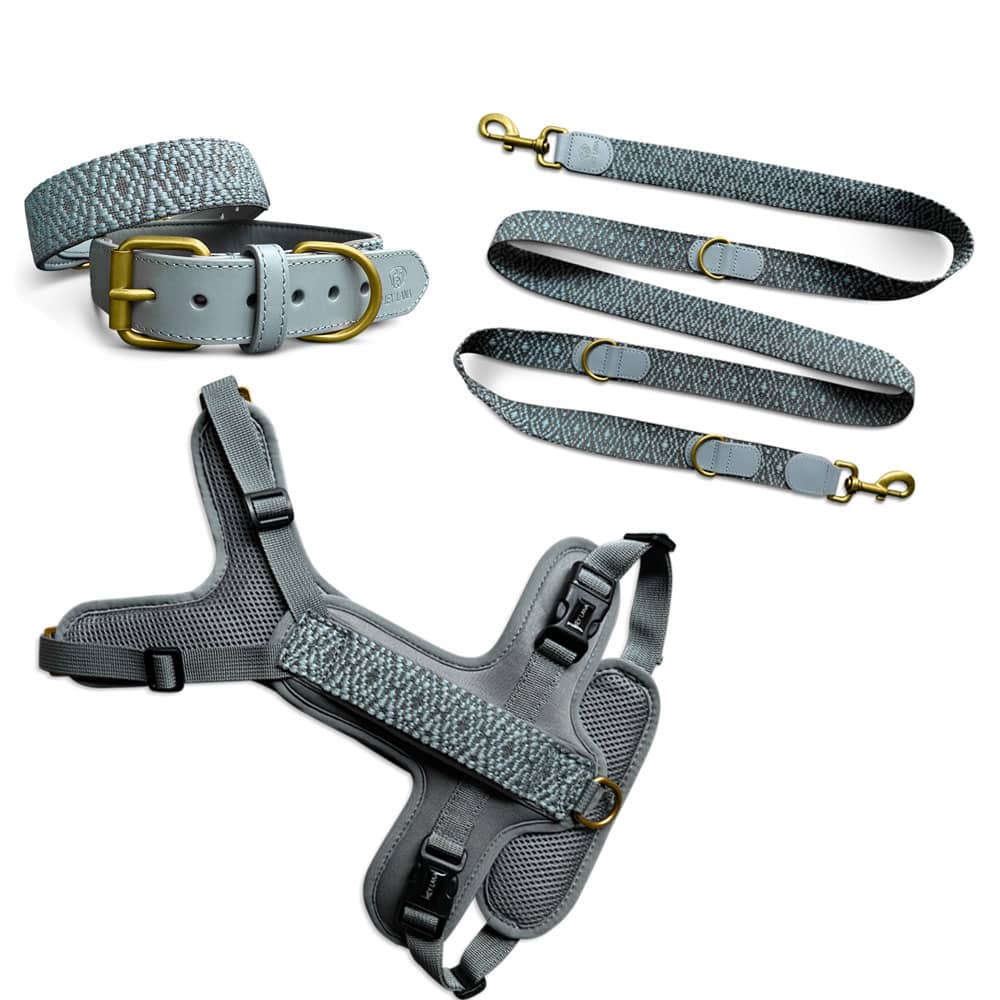 Set-Geschirr-Halsband-und-Leine Kollektion Très chic – Set Hundehalsband, Leine und Geschirr – Anthrazit/Eisblau – Bild 1