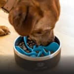 Hunde Zubehör Hey Lana