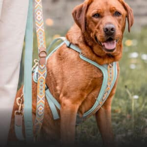 Tres Chic Kollektion Hey Lana