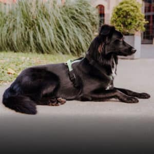 Outdoor Kollektion Hey Lana