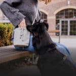 Kategorie für den Zweibeiner Hey Lana